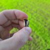 Trex Tooth Piece - Image 2